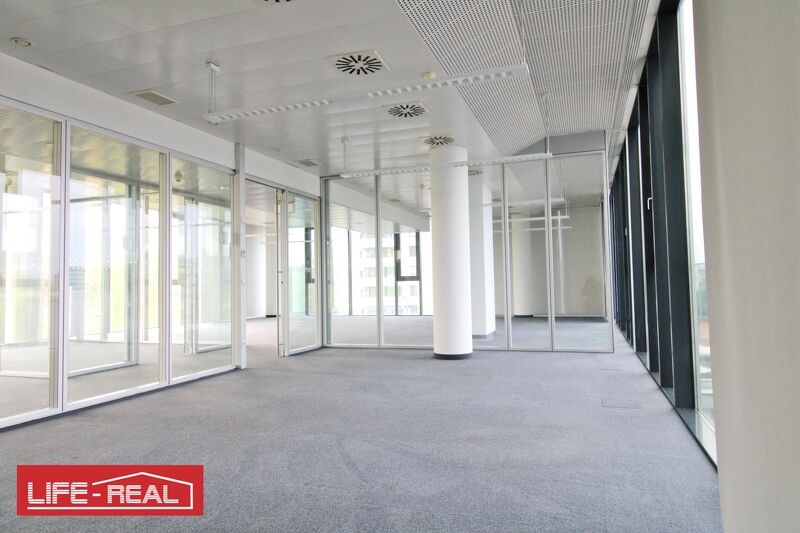 ein Wohlf&uuml;hlb&uuml;ro, hell, sonnig, lichtdurchflutet,