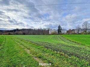 landwirtschaftlicher Nutzgrund