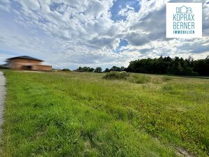 Grundstück am Waldrand 550 m²