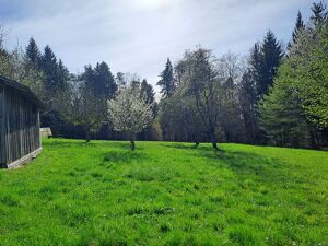 Landwirtschaft Nähe Graz - Ideal für Pferdehaltung!
