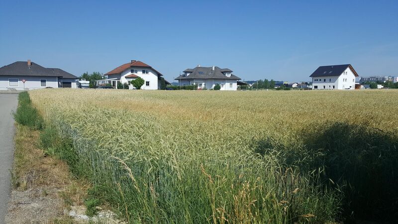 Provisionsfrei - Traumhaftes Grundstück in Amstetten