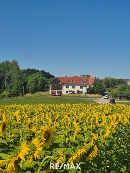Ein- oder Mehrfamilienhaus samt Nebengebäuden im Bauland-Betriebsgebiet