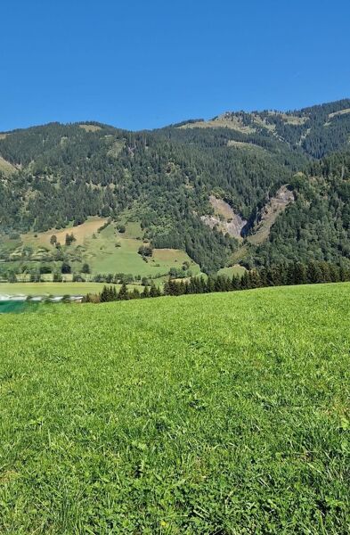 Baugrund in sonniger Ruhelage