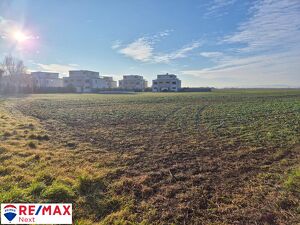 901 m² traumhaftes Baugrundstück in Pottendorf ! KEIN BAUZWANG !