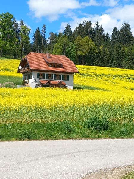 Modernes Landhaus in sonniger Lage