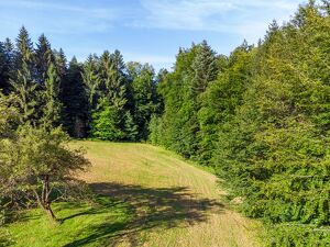 Sonnige Kleinlandwirtschaft in Alleinlage bei Vasoldsberg