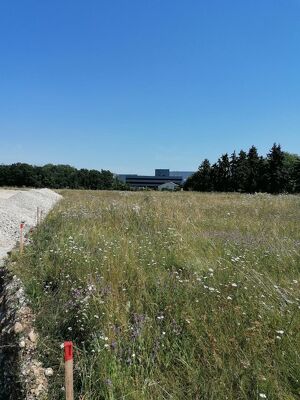 gewidmeter Gewerbegrund für Ihr Unternehmen!+++OÖ.ZENTRALRAUM+++DIREKT AN DER A25