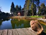 Bungalow mit Schwimmteich - Ortsrandlage und viel Grund