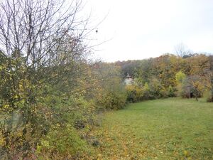 WUNDERSCHÖNER (BAU)GRUND rd. 4.800 m2 WALDRANDLAGE, GUT TEILBAR FÜR FAMILIEN UND FREUNDE - GETRENNT UND DOCH ZUSAMMEN