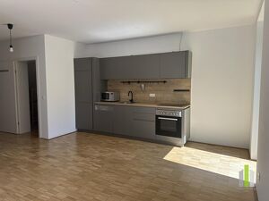 Gartenwohnung mit Charme und Ruhe ? mitten in Gmunden