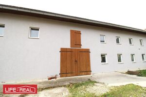 Großzügiges Arbeiten und Wohnen unter einem Dach. 5-Zimmer-Landwohnung mit Gartennutzung, Nebenräumen und Halle.
