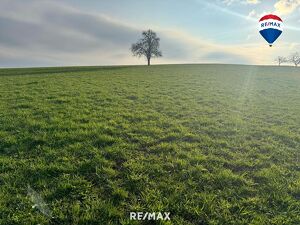Landwirtschaftliche Nutzfläche/Ackerfläche nahe Waizenkirchen/Stroheim