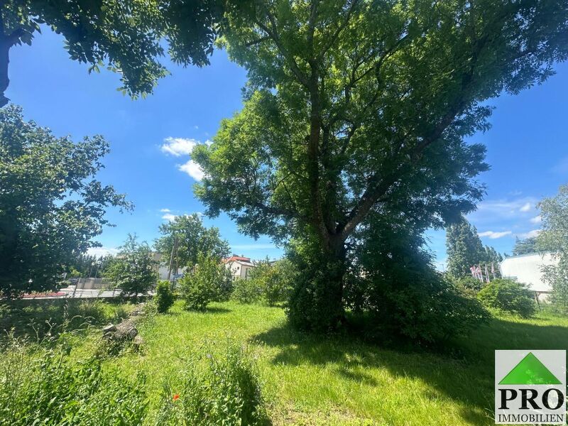 Traiskirchen - Bauträgerprojekt ! 3.770m2 Grundstück mit ehemaligem Schlossobjekt zu verkaufen