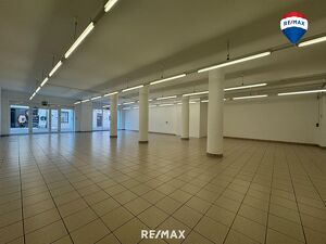 Geschäftslokal / Büro in der Eferdinger Schmiedstraße