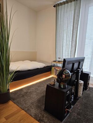 Moderne Mietwohnung inkl. Einbauküche und Balkon - 29 m² - Top 04