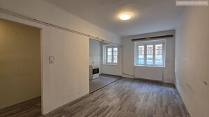 Sanierungsbedürftig + Altbau + 1 Zimmer + separate Küche + Erdgeschoß
