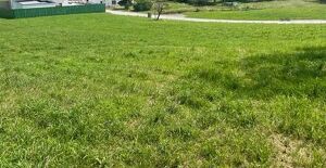 Bieterverfahren - Schönes Grundstück ohne Bauzwang nahe Kalsdorf/Graz