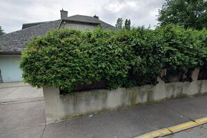Grundstück mit Altbestand