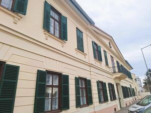 Villa Liebenau! Neuwertige Mansarden-Dachgeschoss-Wohnung mit 2 Zimmern, Top 13 [GF,LH]