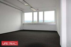 Mechatronisches Büro mit Werkstattnutzung