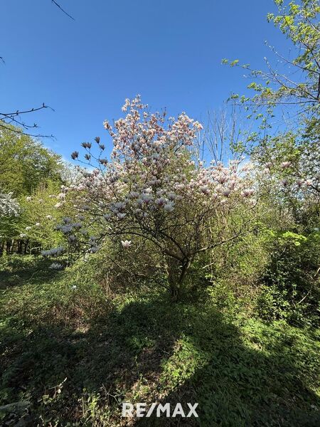 Idyllisches GRUNDSTÜCK (KLG) Eselstiege