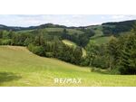 418.750 m² Wälder/Ackerland/Grünland - in der Buckligen Welt - Ihre Invenstition in Grund und Boden!