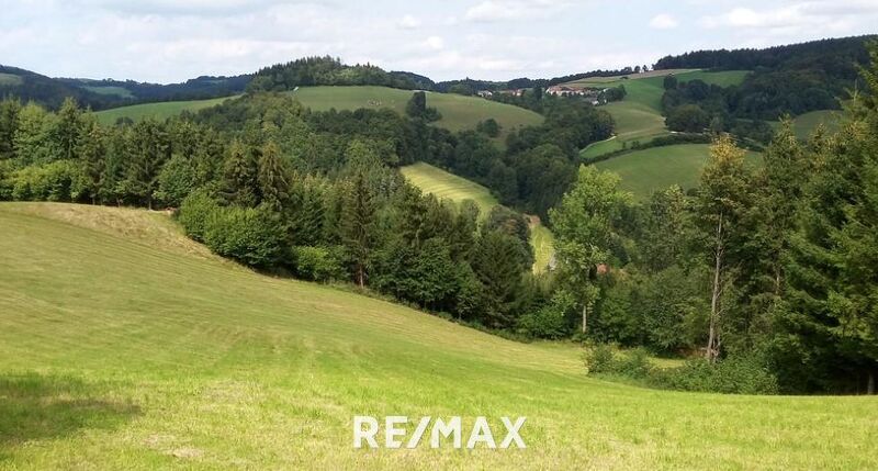 418.750 m² Wälder/Ackerland/Grünland - in der Buckligen Welt - Ihre Invenstition in Grund und Boden!