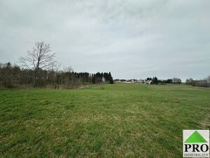 Baugrundstücke  in guter sonniger und ruhigen Lage in der Burgstadt Heidenreichstein zu verkaufen