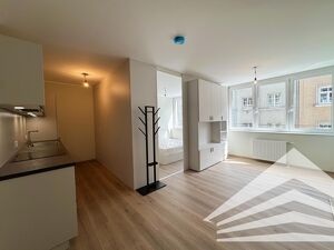 ERSTBEZUG - 2 Zimmer Design-Apartment in bester Citylage  - Nähe Landstraße