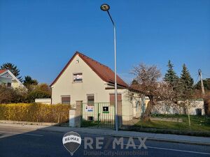 "DAVE! Lobau - Baugrund mit Altbestand"