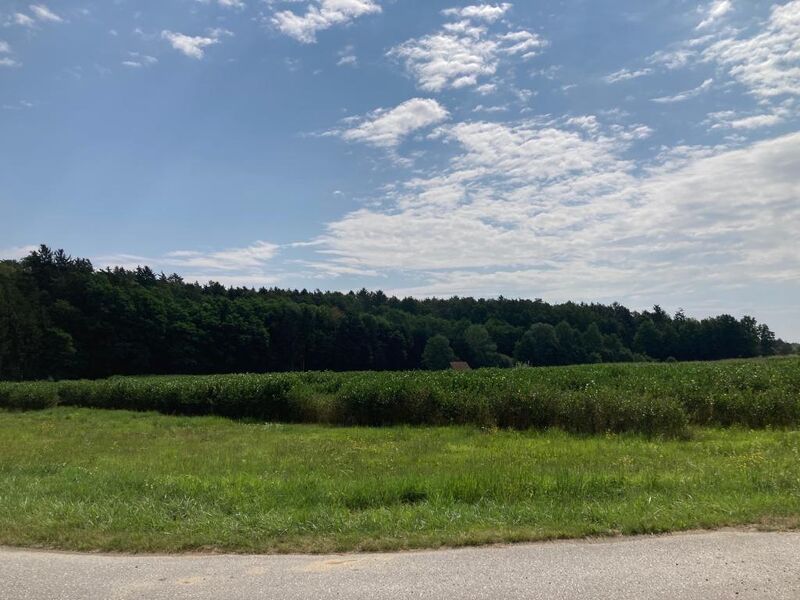 Bauen mit Aussicht ? Grundstück in Bad Blumau in traumhafter Lage