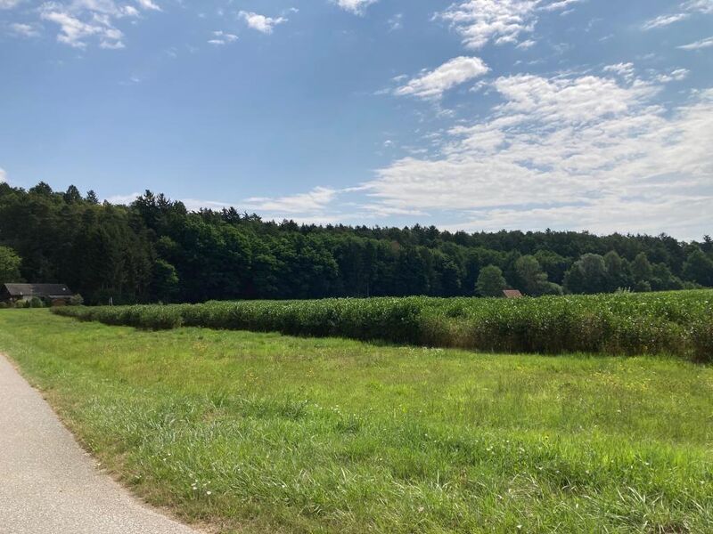 JETZT ZUGREIFEN ? Doppelbauparzelle bei Bad Blumau zum Top-Preis!