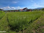 Ebenes & sonniges Baugrundstück in der Südsteiermark!