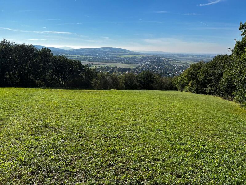GRÜNLAND IN TULBING