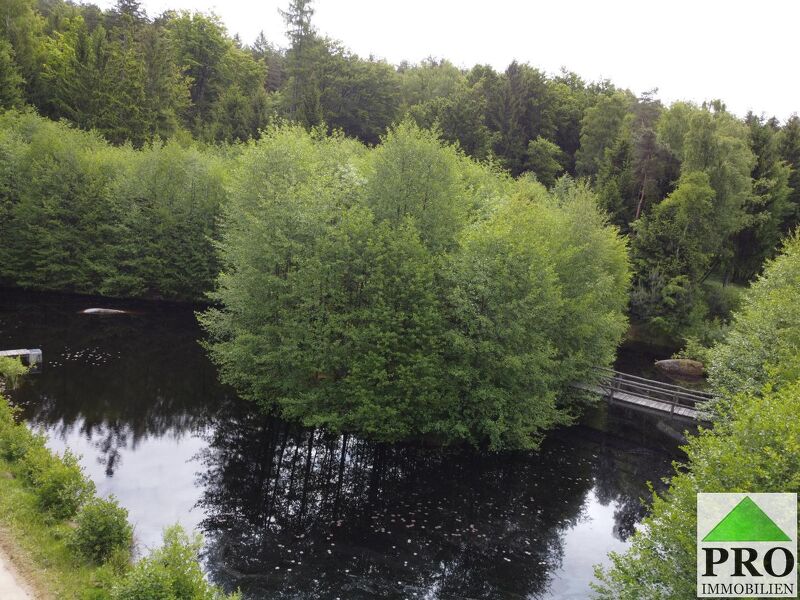 25,12 ha Wald, Wiesen und 2 Teiche umgeben das ehemalige Bauernhaus, den neu errichteten Schuppen und das Carport
