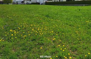 Baugrund ohne Bauzwang