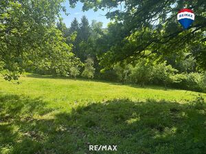 Grünland- und Waldgrundstück in Haibach ob der Donau
