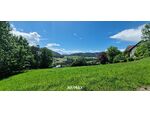 Grundstück mit Seeblick in der Oststeiermark