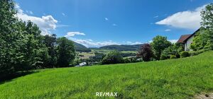 Grundstück mit Seeblick in der Oststeiermark