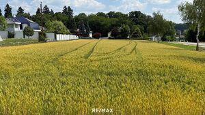 SONNIGES BAUGRUNDSTÜCK ohne Bauzwang
