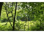 Landwirtschaftliche Fläche mit Waldgrundstück und Gebäude