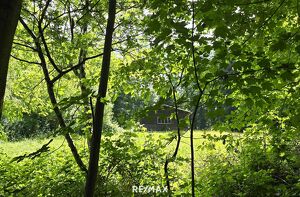 Landwirtschaftliche Fläche mit Waldgrundstück und Gebäude