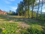 "In Kaufabwicklung!"     SCHÖNES, SÜDSEITIGES GRUNDSTÜCK IN WALDRANDLAGE