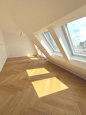 Altbau trifft Moderne ? Exklusive Dachwohnungen im 9. Bezirk