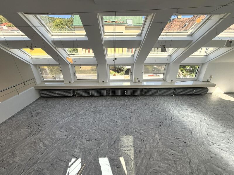 Ansprechendes Atelier, Loft, Dachterrasse inkl. PP im Neunzehnten // Attractive Studio, loft, roof terrace incl. parking in the nineteenth //