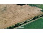 Landwirtschaftliches Grundstück in Sankt Marienkirchen an der Polsenz