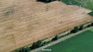 Landwirtschaftliches Grundstück in Sankt Marienkirchen an der Polsenz