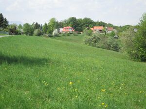 Baugrundstück in herrlicher Grün- und Ruhelage in Laßnitzhöhe-Nestelbachberg