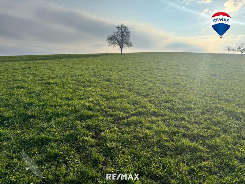 Ackerfläche nahe Waizenkirchen/Stroheim