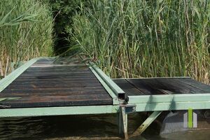Seegrundstück mit Steg, Boje & Weinfass-Schlafplatz ? direkt am Obertrumer See!
